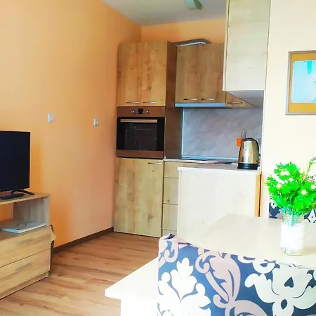 Apartment Big Apartment Near The Sea + Kitchen, Wifi &Ac Nesebar